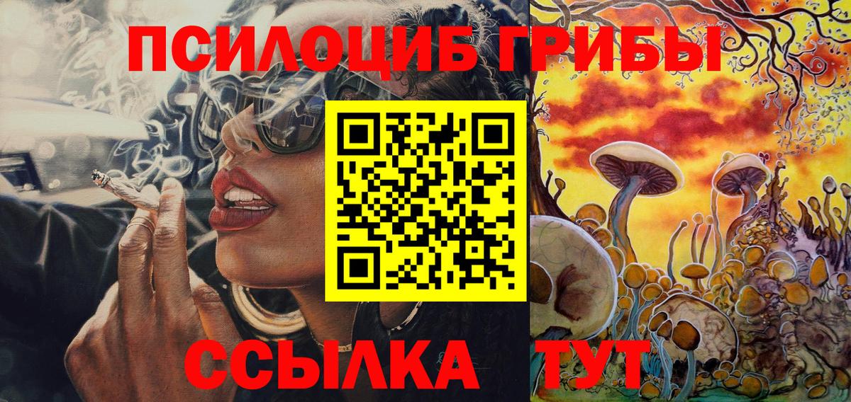 Южноуральск  Галлюциногенные грибы Psilocybe  Вход с VPN 