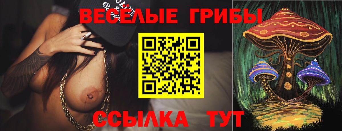 Галлюциногенные грибы GOLDEN TEACHER Южноуральск